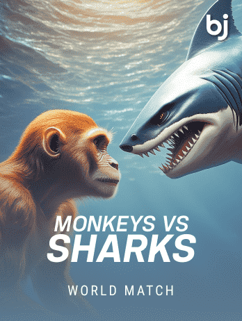 Monkeys Vs Sharkspng icon